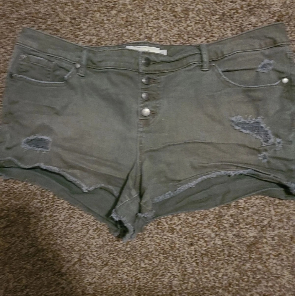 Torrid shorts